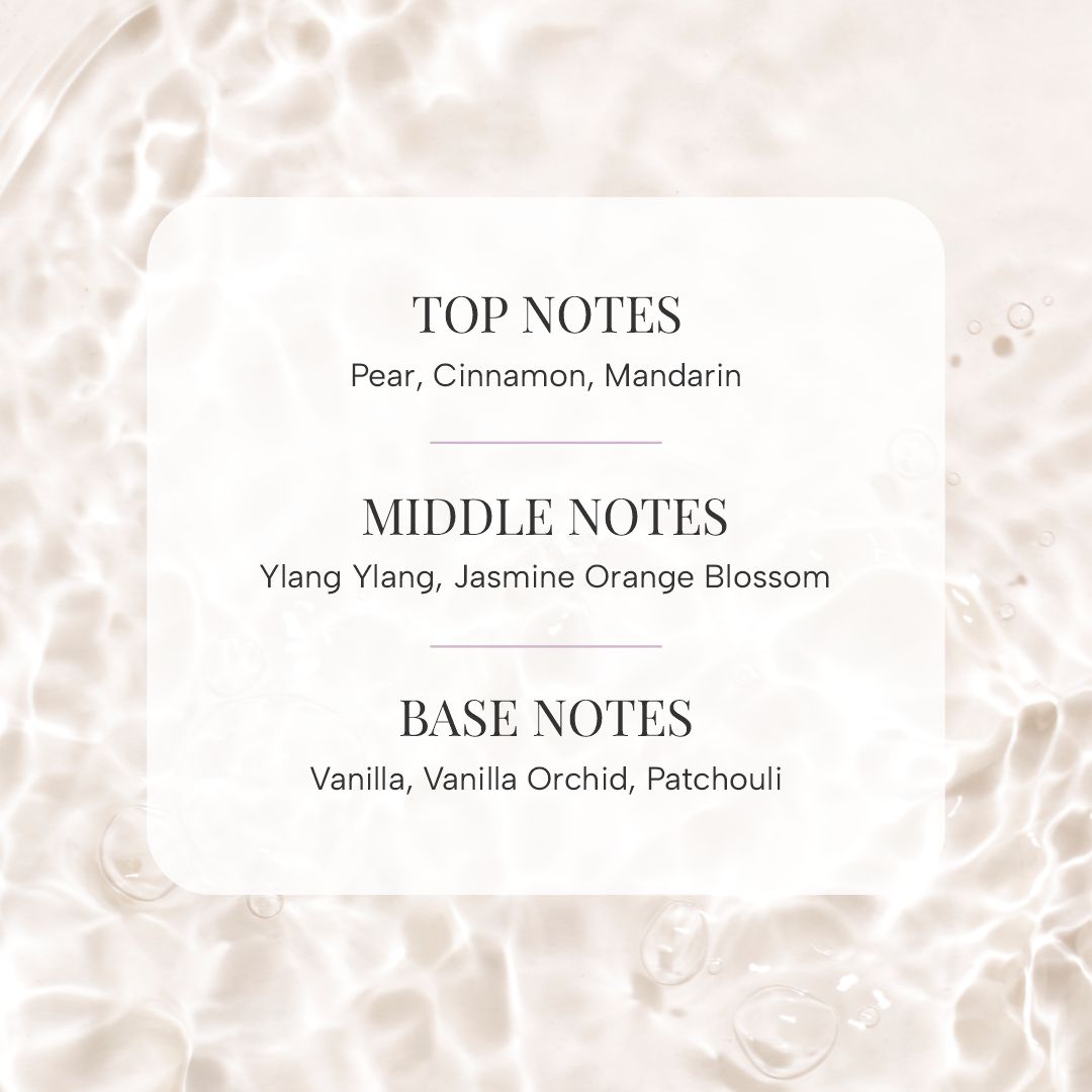 Luxe Body Essentials in Vanilla & Argan | Paytm