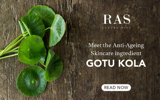Meet the Anti-Ageing Skincare Ingredient: Gotu Kola