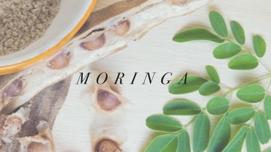 7 Ways Moringa Oil Benefits Skin & Hair