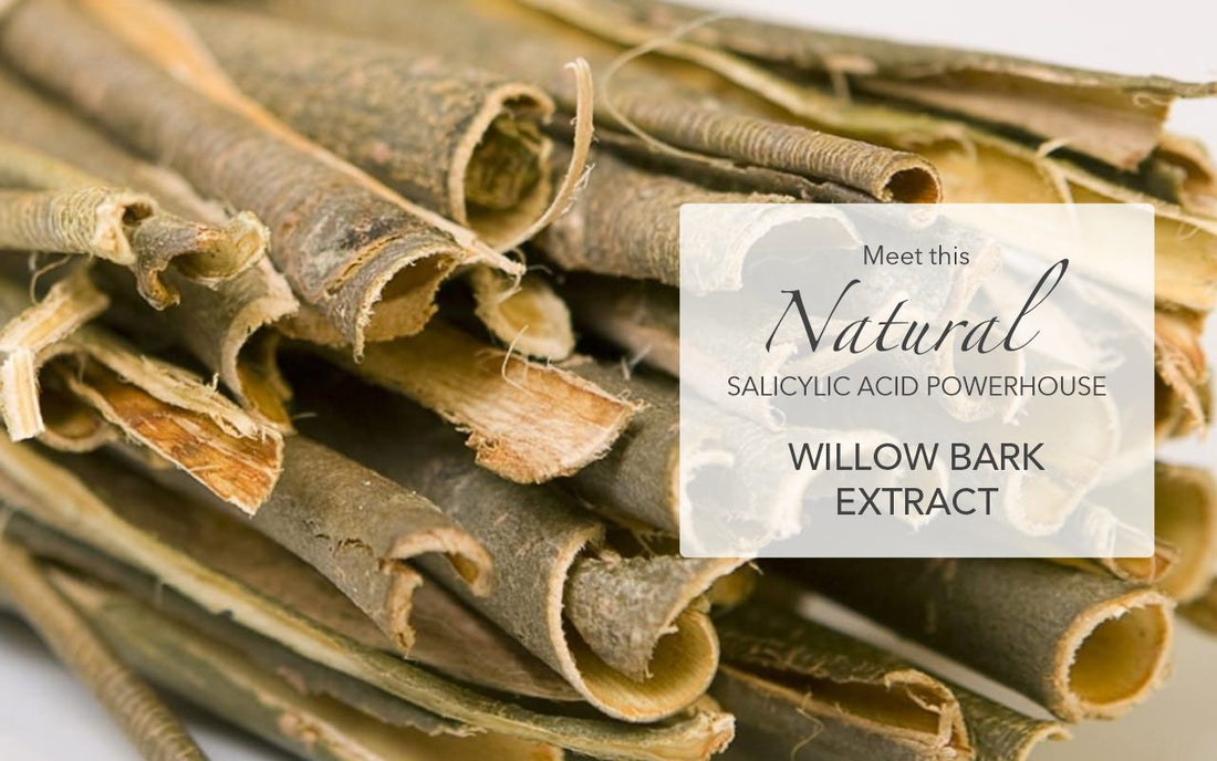 MEET THIS NATURAL SALICYLIC ACID POWERHOUSE – WILLOW BARK EXTRACT!