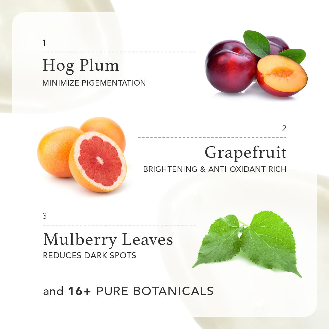 Free Winter Essential Kit + Golden Pouch