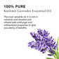 Kashmir Lavender Pure Essential Oil