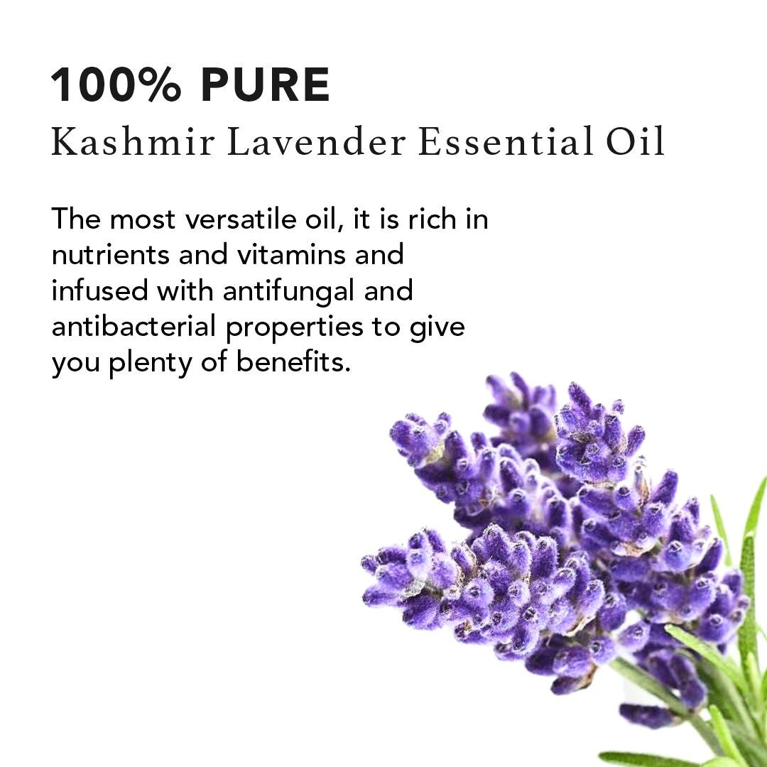 Kashmir Lavender Pure Essential Oil