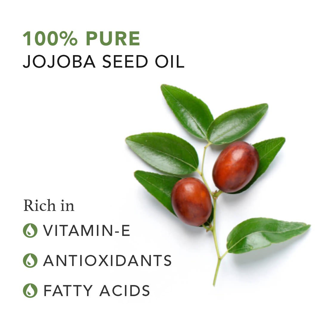plant jojoba seed Jojoba Pure Plant Oil Lightweight Moisturiser Cold Pressed hair Oil – RAS Luxury Skincare